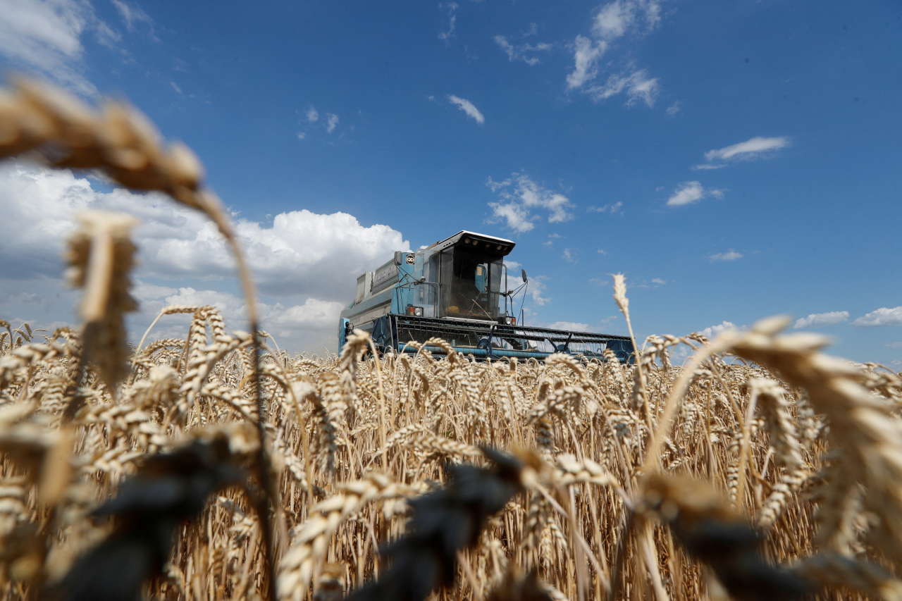 Guerre en Ukraine : La crise du blé fragilise l’Afrique